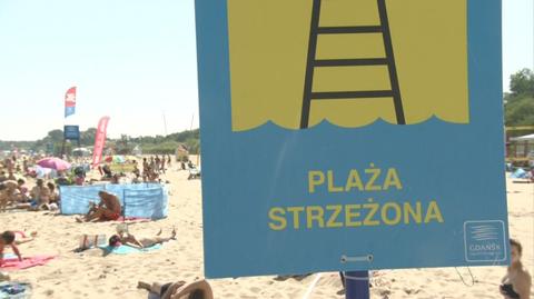 11.08.2015 | Zakaz kąpieli na plażach Zatoki Gdańskiej. Zakwitły sinice