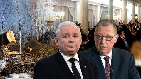 21.02.2017 | Kaczyński krytykuje, Szyszko broni. Będą zmiany w ustawie