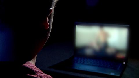 18.10.2019 | Pornografia w internecie może zastąpić edukację seksualną