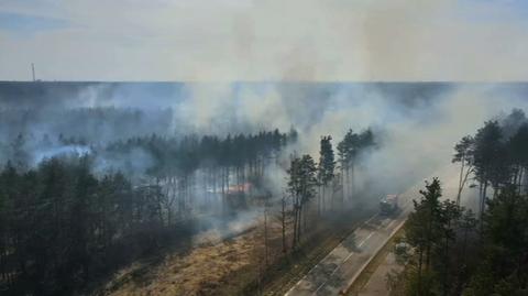 11.04.2021 | Pożar lasu w podwarszawskiej Kobyłce. Trzeba było użyć samolotu gaśniczego