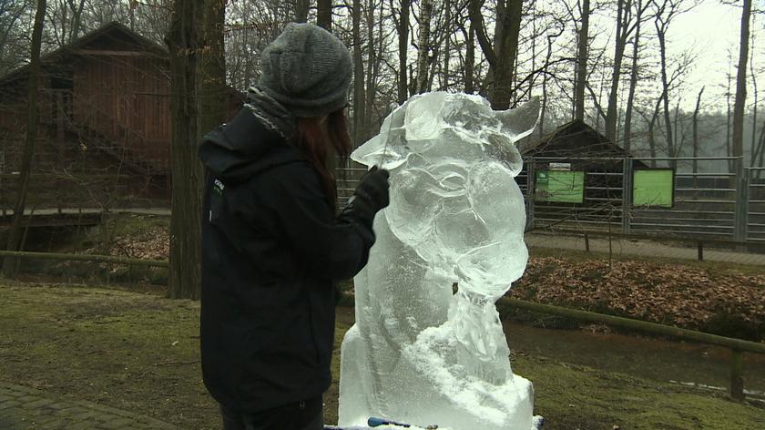 Polka powalczy o wygraną w mistrzostwach świata w rzeźbieniu w lodzie
