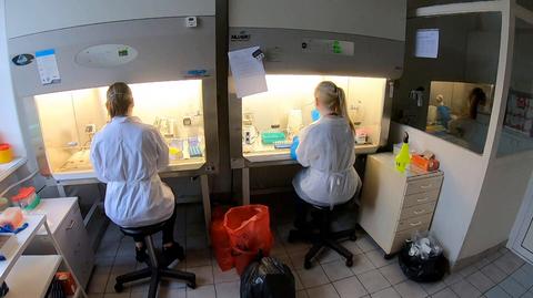 07.05.2020 | Ministerstwo Zdrowia chce uregulować komercyjne testowanie na obecność SARS-CoV-2