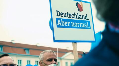 Protest prorosyjskich aktywistów w Niemczech