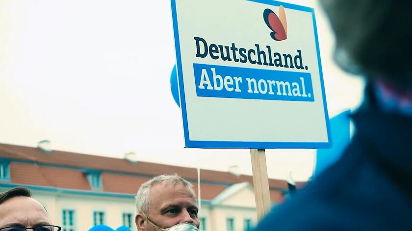 AfD drugą siłą w Niemczech. Partia budzi wiele kontrowersji