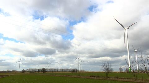 31.03.2022 | Uniezależnienie się od surowców z Rosji? Organizacje apelują o inwestycje w energię odnawialną