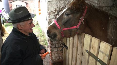 04.01.2020 | Klacz była zaniedbana, właściciel chory. Po interwencji ruszyła lawina pomocy