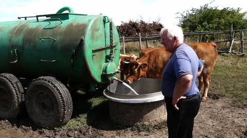 Wysychają ujęcia wody, strumienie i pastwiska. "Ogromna katastrofa"