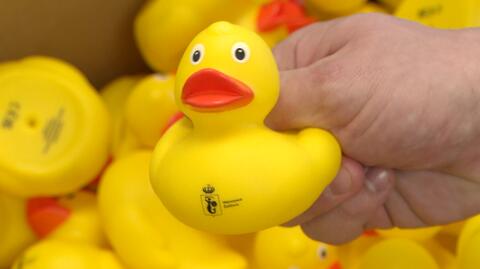 Władze Żoliborza postanowiły kupić 500 żółtych kaczek do kąpieli