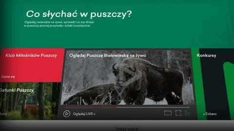 15.07.2021 | Puszcza.tv za miliony złotych. Po co to było? "To jest spłacanie długów politycznych"