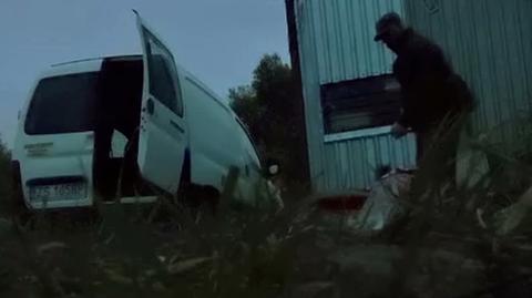 Ranny jenot potrzebował pomocy. Łowczy przyjechał i go zastrzelił
