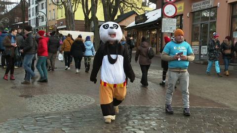 28.01.2020 | Wymuszanie napiwków, straszenie dzieci. Panda z Krupówek trafiła za kratki