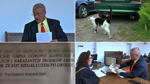 Sołtys przed sądem, bo "kot biegał luzem po drodze". "Myślałem, że to żart"