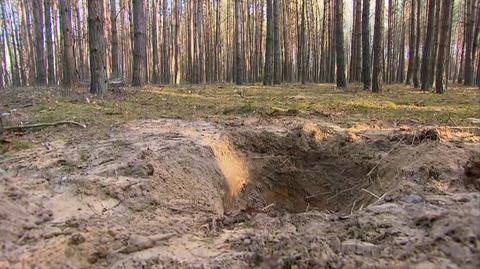 W lesie pod Siedlcami odnaleziono ciało 16-letniej Anny