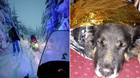 18.12.2018 | Oni szli na nartach, a ich pies musiał się przedzierać przez zaspy. GOPR uratował psa
