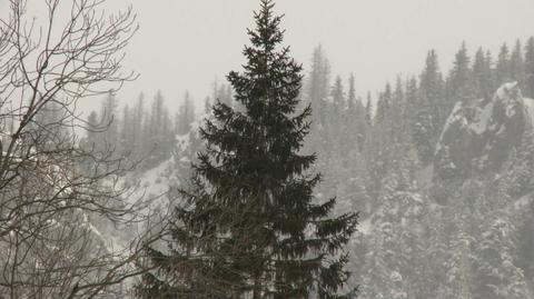 Turyści przetrwali noc w jamie śnieżnej w Tatrach. Trwa akcja TOPR