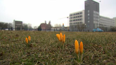 14.03.2018 | "Mróz, śnieg, wiatr. Wszystkie najgorsze oblicza zimy". Tak ma wyglądać weekend