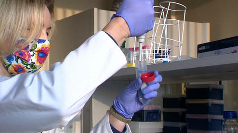 25.01.2021 | Cztery niepokojące warianty koronawirusa. "Mają pewną wspólną cechę"