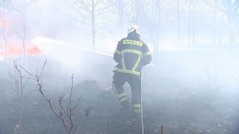 02.05.2022 | Zagrożenie pożarowe w Polsce wysokie ze względu na małą liczbę opadów deszczu