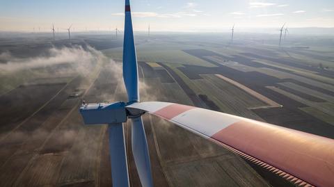 Biedroń: jest decyzja o rozdzieleniu ustaw wiatrakowej i o zamrożeniu cen energii