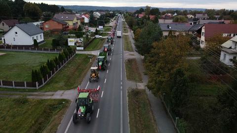 Rolnicy protestują przeciwko "piątce dla zwierząt"