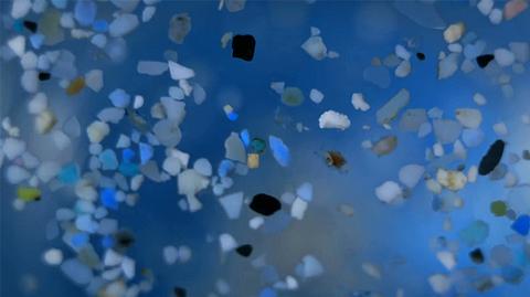 08.06.2019 | Morze śmieci. "Plastik, który generujemy, do nas wraca"