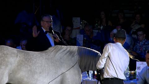 Koniec aukcji Pride of Poland. "Udało się zrealizować cele"