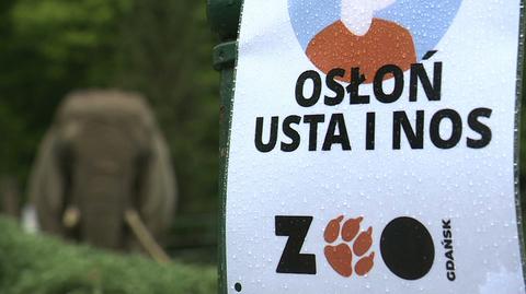 19.05.2020 | Zoo w Gdańsku ponownie otwarte. Zwierzęta czekają na odwiedzających