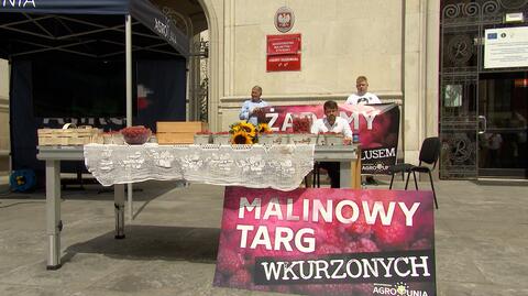 Plantatorzy malin protestowali w Warszawie. Rząd zapowiada skup poprzez spółkę Skarbu Państwa