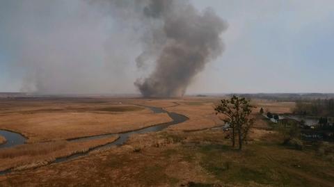 Pożar w Biebrzańskim Parku Narodowym wyrządza szkody, które pozostaną na długie lata