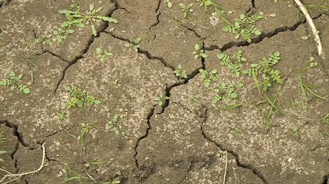 Susza hydrologiczna w Polsce postępuje. Kolejne gminy apelują o oszczędzanie wody