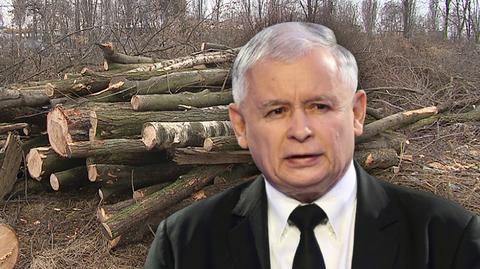 28.02.2017 | Jarosław Kaczyński zamierza załatać luki w "prawie Szyszki". Co konkretnie może się zmienić?