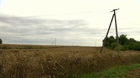 01.08.2019 | Pobiegła w pole za psem. Chwilę później 12-latka zmarła, porażona prądem