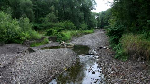 10.06.2021 | Pięcioro Polaków pozywa rząd za bierność w sprawie ochrony klimatu