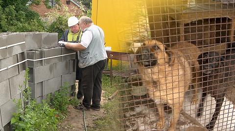 07.07.2017 | Stracili dom, który był azylem dla zwierząt. Pomogli widzowie "Faktów"