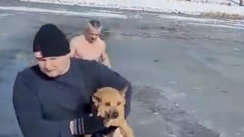 15.03.2023 | Pan Krzysztof uratował tonącego psa. "Godzinę wcześniej morsowaliśmy"