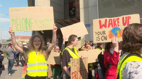 Młodzieżowy Strajk Klimatyczny wyszedł na ulice polskich miast