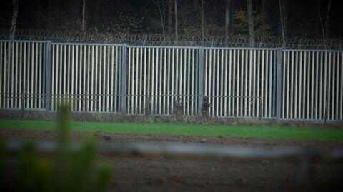 03.03.2023 | Zapora na granicy polsko-białoruskiej zagraża przyrodzie