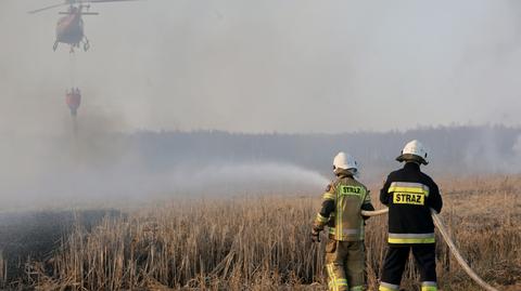 Pożar w Biebrzańskim Parku Narodowym winą człowieka? "Nie oszukujmy się"
