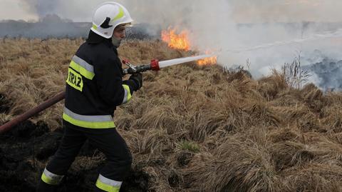 Strażakom w Biebrzańskim Parku Narodowym pomagają okoliczni mieszkańcy